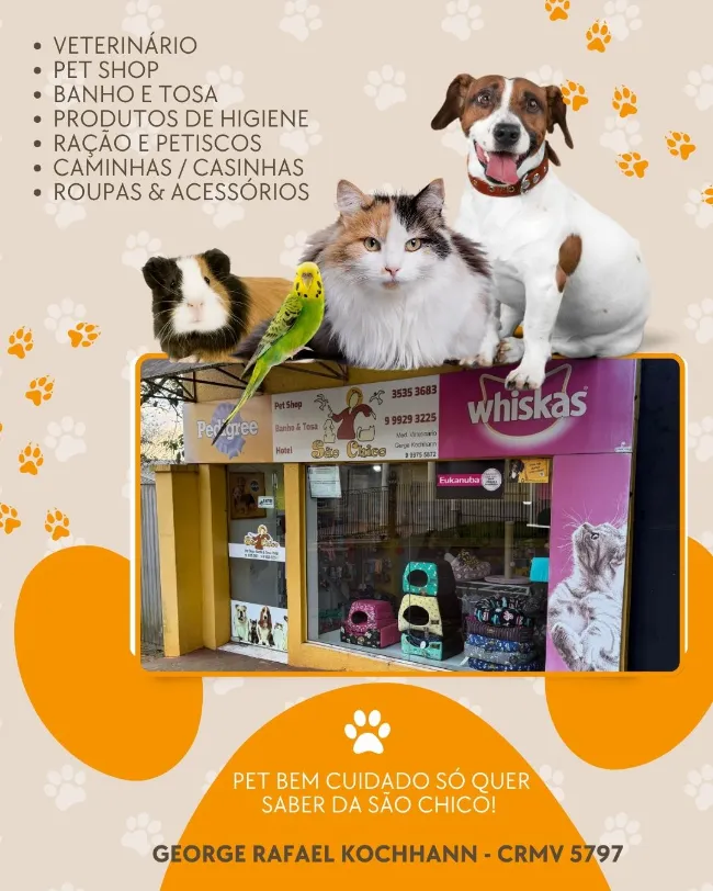 galeria_nova_qViJwabufy1X.webp