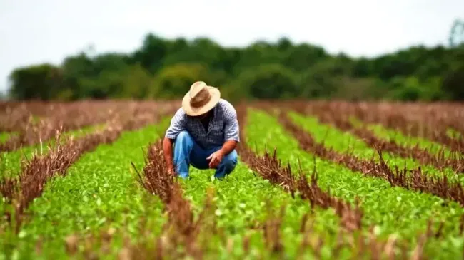 AGRICULTURA