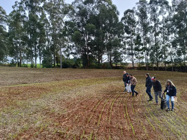 AGRICULTURA
