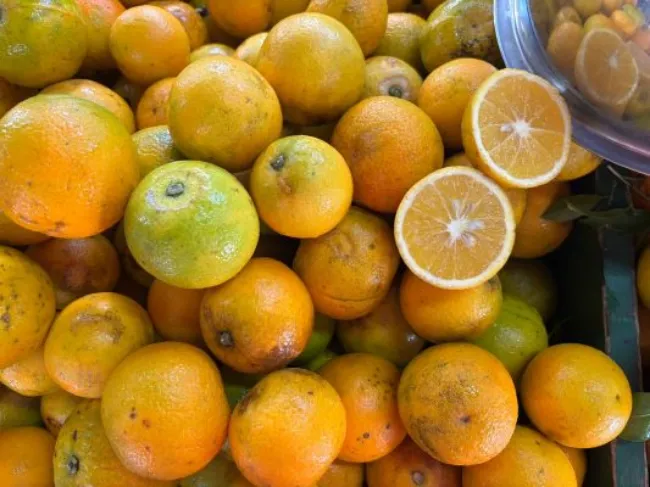 AGRO