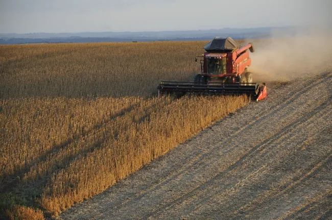 AGRO
