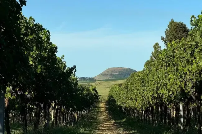 AGRO