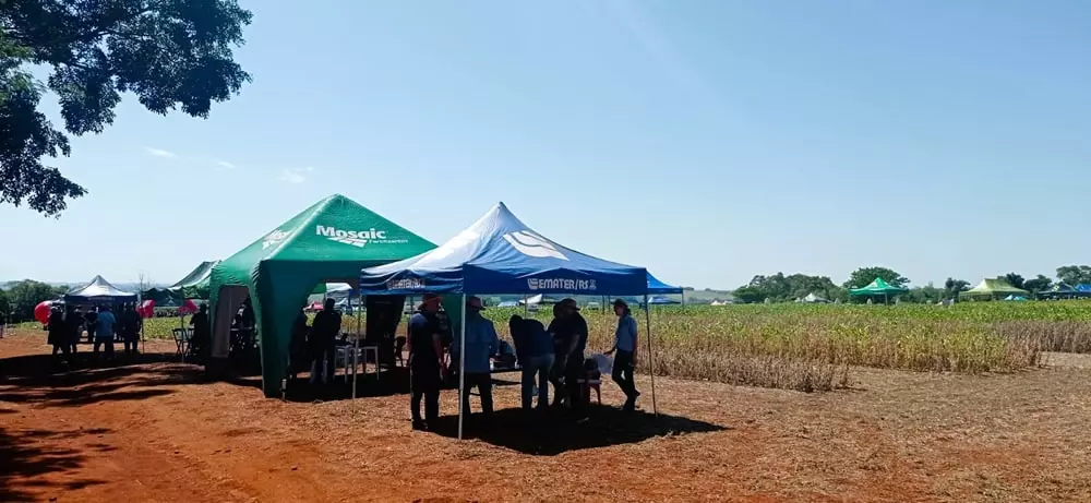 Dia de Campo em Santa Rosa