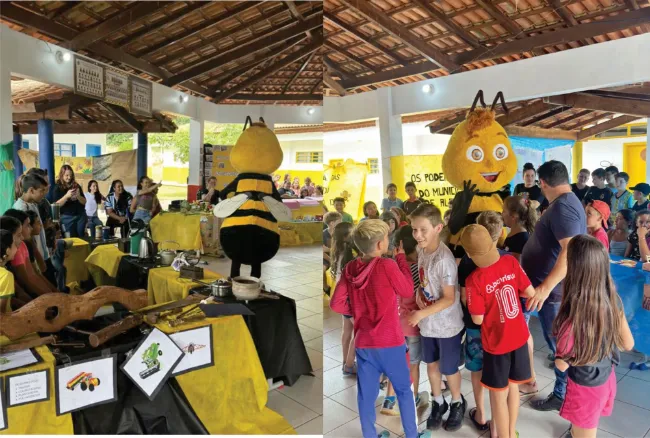 EDUCACAO