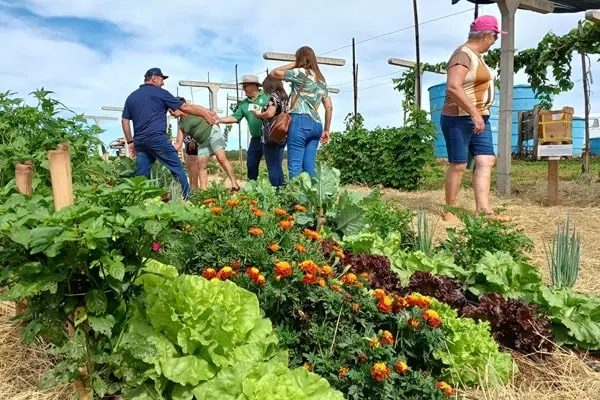 Expoagro Cotricampo 2025