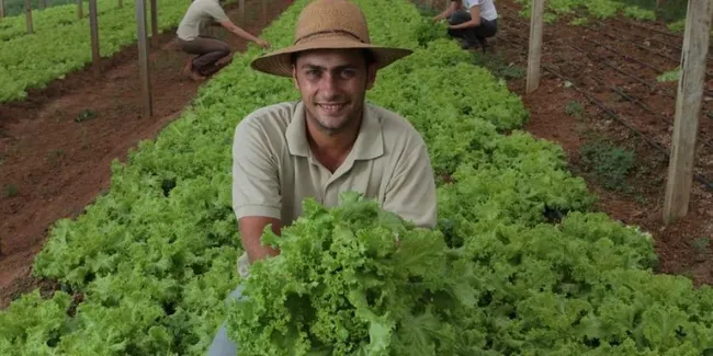JOVEM RURAL