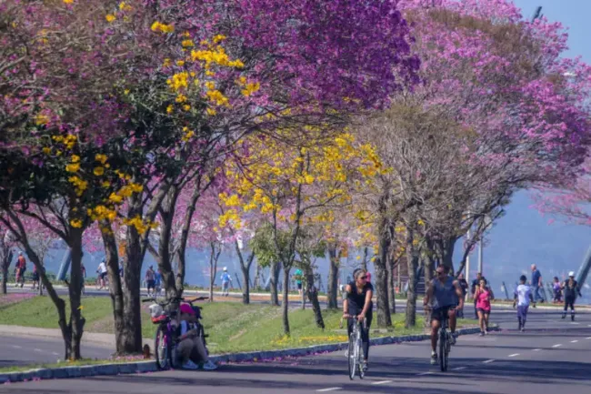 PRIMAVERA