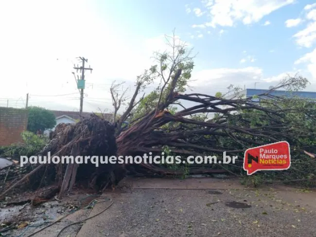 TEMPORAL