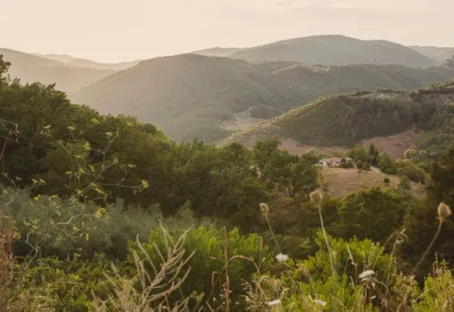 TURISMO RURAL